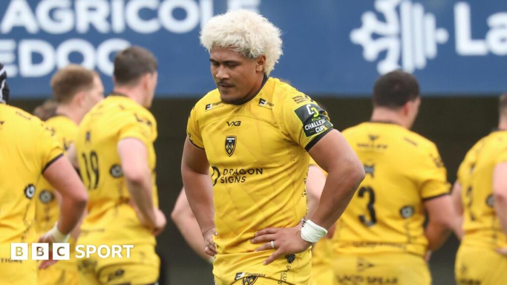Dragons look to take next step after season of progress in URC and Challenge Cup
